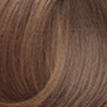 Ssime II Precision Color 6.31 Rubio Oscuro Dorado Ceniza